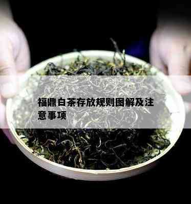 福鼎白茶存放规则图解及注意事项