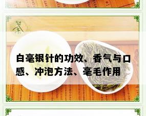 白毫银针的功效、香气与口感、冲泡方法、毫毛作用