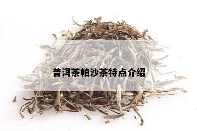 普洱茶帕沙茶特点介绍