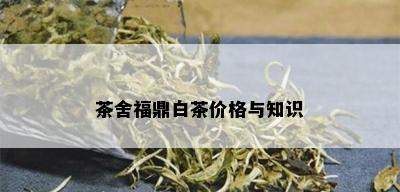 茶舍福鼎白茶价格与知识