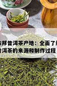 依邦普洱茶产地：全面了解普洱茶的来源和制作过程