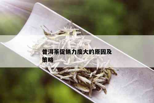 普洱茶促销力度大的原因及策略