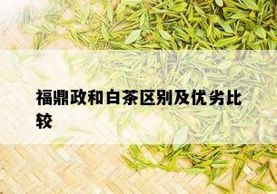 福鼎政和白茶区别及优劣比较