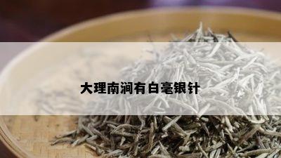 大理南涧有白毫银针