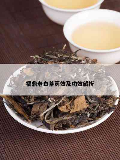 福鼎老白茶药效及功效解析