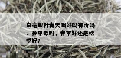 白毫银针春天喝好吗有吗，会中吗，春季好还是秋季好？