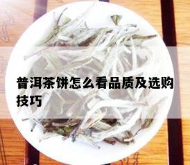 普洱茶饼怎么看品质及选购技巧