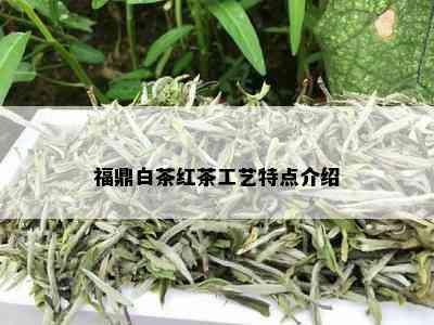 福鼎白茶红茶工艺特点介绍