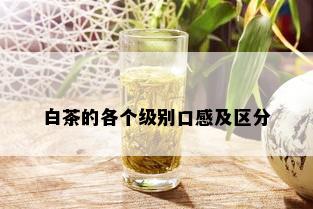 白茶的各个级别口感及区分