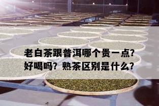 老白茶跟普洱哪个贵一点？好喝吗？熟茶区别是什么？