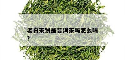 老白茶饼是普洱茶吗怎么喝？