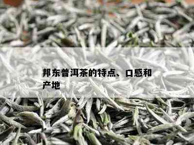 邦东普洱茶的特点、口感和产地