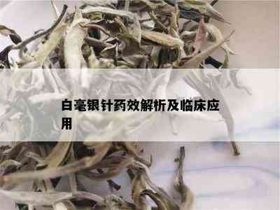 白毫银针药效解析及临床应用