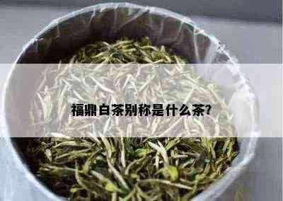 福鼎白茶别称是什么茶？