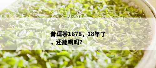 普洱茶1878，18年了，还能喝吗？