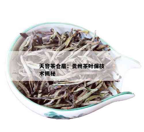 天窨茶仓眉：贵州茶叶保技术揭秘