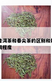 普洱茶和春尖茶的区别和好喝程度