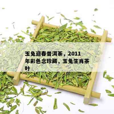 玉兔迎春普洱茶，2011年彩色念珍藏，玉兔生肖茶叶