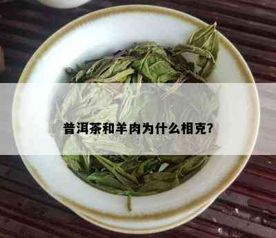 普洱茶和羊肉为什么相克？