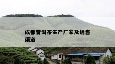 成都普洱茶生产厂家及销售渠道