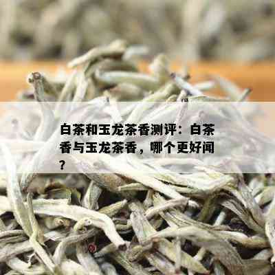 白茶和玉龙茶香测评：白茶香与玉龙茶香，哪个更好闻？