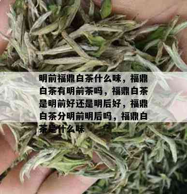 明前福鼎白茶什么味，福鼎白茶有明前茶吗，福鼎白茶是明前好还是明后好，福鼎白茶分明前明后吗，福鼎白茶是什么味