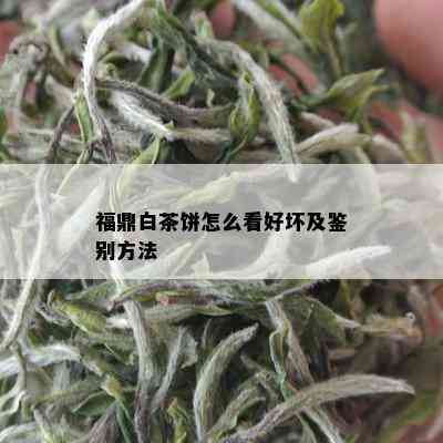 福鼎白茶饼怎么看好坏及鉴别方法