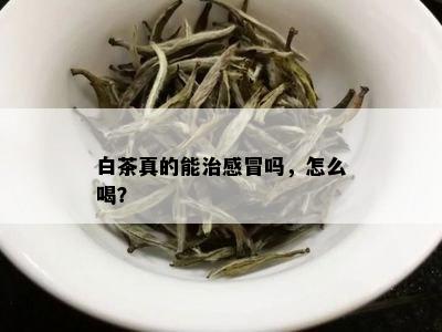 白茶真的能治感冒吗，怎么喝？