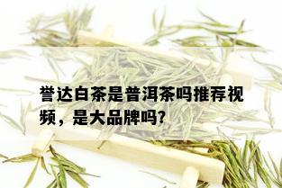 誉达白茶是普洱茶吗推荐视频，是大品牌吗？