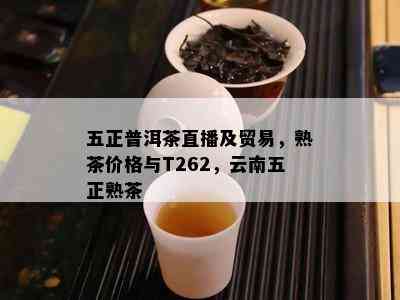 五正普洱茶直播及贸易，熟茶价格与T262，云南五正熟茶