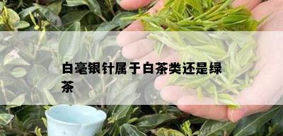 白毫银针属于白茶类还是绿茶