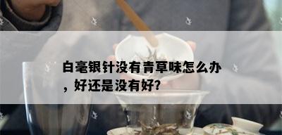 白毫银针没有青草味怎么办，好还是没有好？