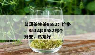 普洱茶生茶8582：价格、8532和8582哪个好些，熟茶好