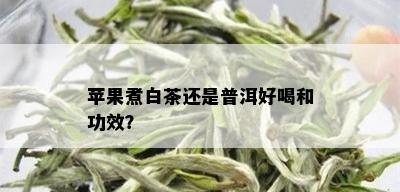 苹果煮白茶还是普洱好喝和功效？