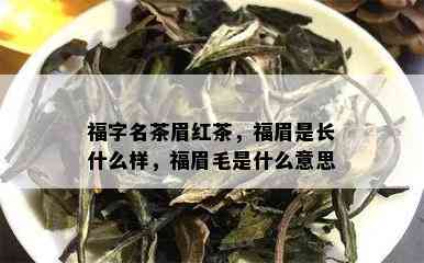 福字名茶眉红茶，福眉是长什么样，福眉毛是什么意思