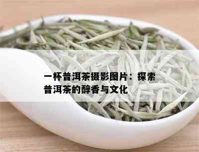 一杯普洱茶摄影图片：探索普洱茶的醇香与文化