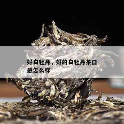 好白牡丹，好的白牡丹茶口感怎么样