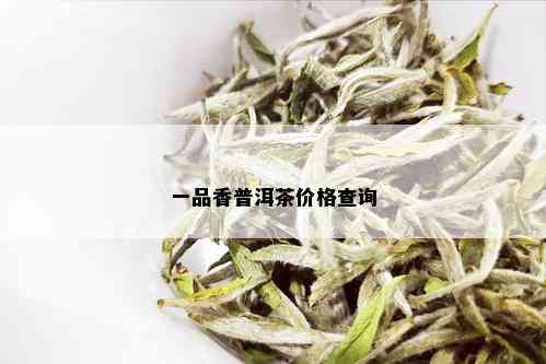 一品香普洱茶价格查询