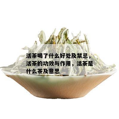 活茶喝了什么好处及禁忌，活茶的功效与作用，活茶是什么茶及意思