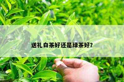 送礼白茶好还是绿茶好？