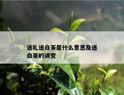 送礼送白茶是什么意思及送白茶的讲究