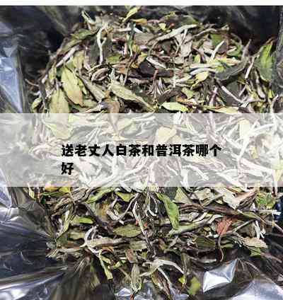 送老丈人白茶和普洱茶哪个好