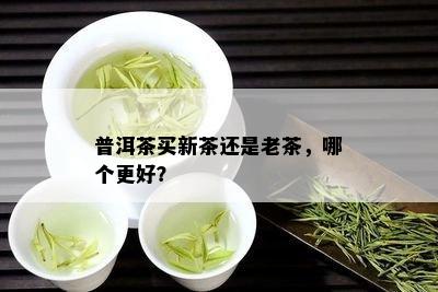 普洱茶买新茶还是老茶，哪个更好？