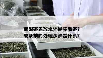 普洱茶先放水还是先放茶？成茶前的处理步骤是什么？