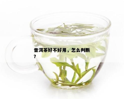 普洱茶好不好用，怎么判断？