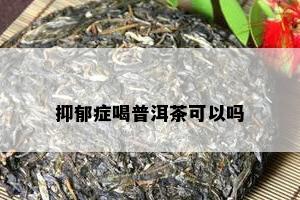 抑郁症喝普洱茶可以吗