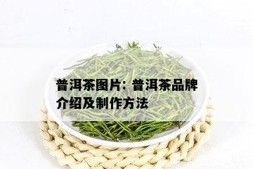 普洱茶图片: 普洱茶品牌介绍及制作方法