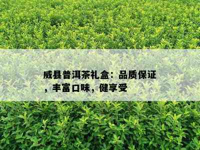 威县普洱茶礼盒：品质保证，丰富口味，健享受