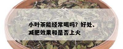 小叶茶能经常喝吗？好处、减肥效果和是否上火