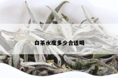 白茶水度多少合适喝